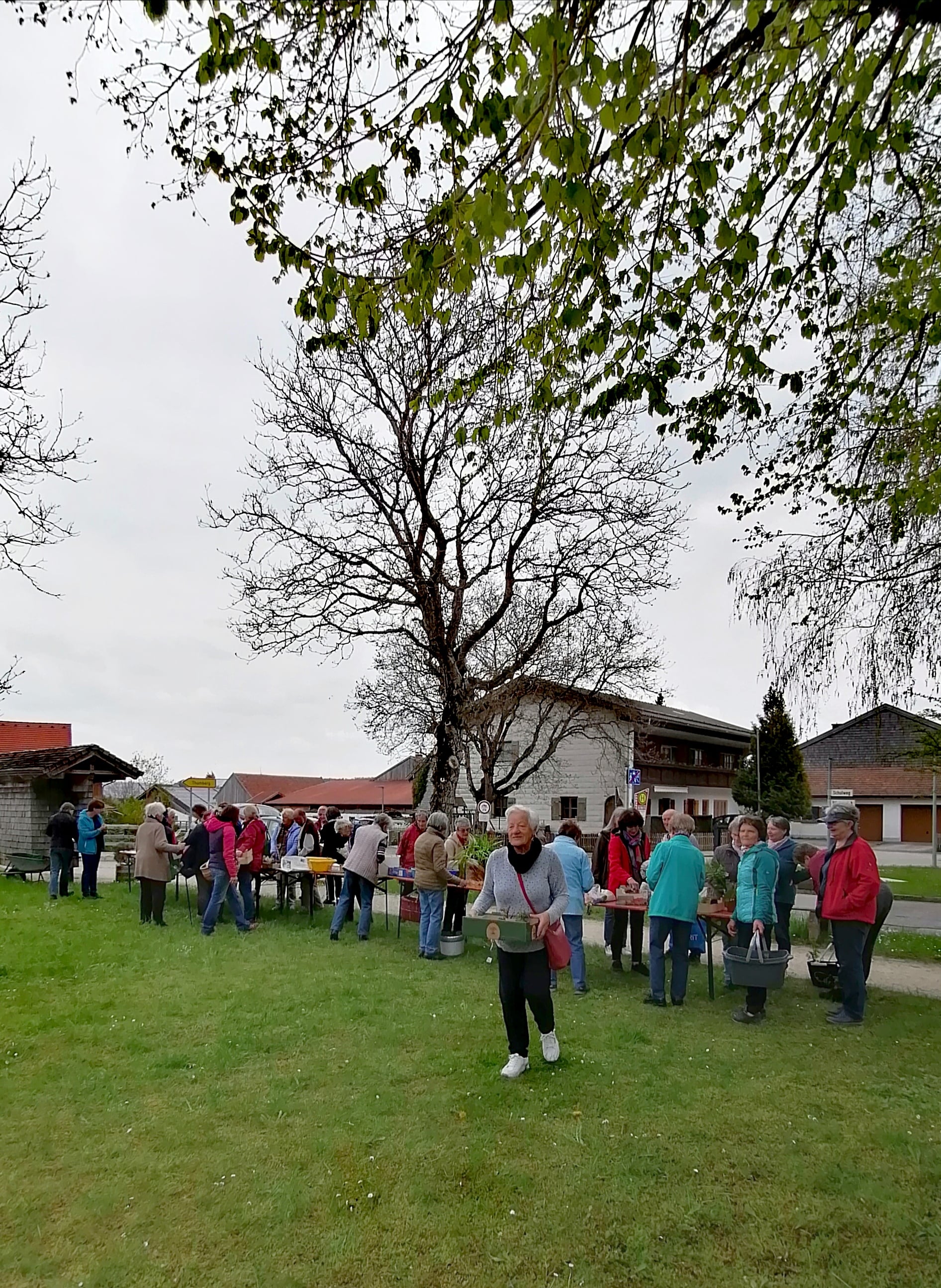 Pflänzchentauschmarkt